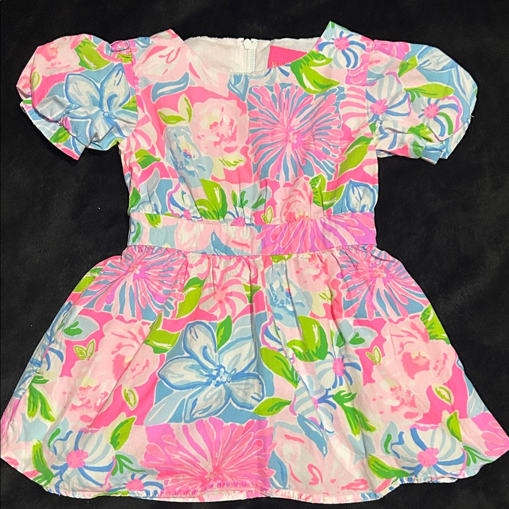 Lilly Pulitzer Pink, Blue & Green Floral Dress puff sleeves Sz 2